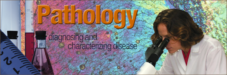 Why Pathology?