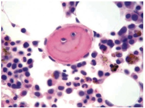 Who Says Pathologists Don't Have a Sense of Humor?