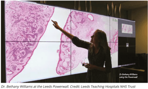 digital pathology